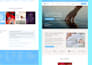 do wordpress website development, design or redesign